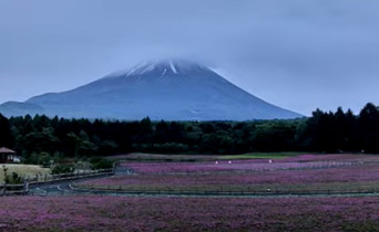 Obraz podglądu z kamery internetowej Yamanashi - Mount Fuji